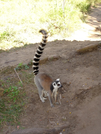 ../Images/Madagaskar, 25.05.-10.06.07, Foto (323).JPG